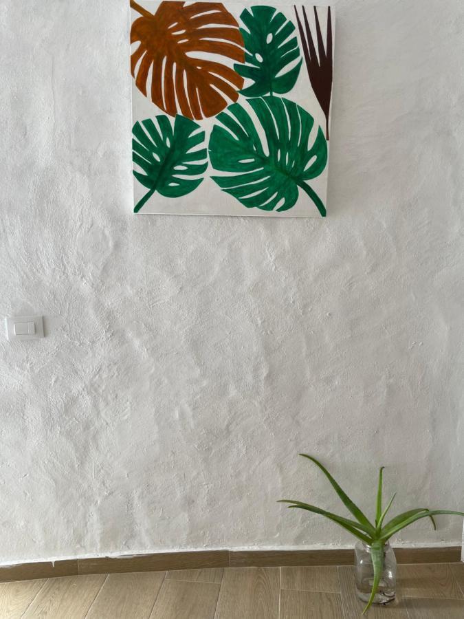 아게이크 Casa El Conde 빌라 외부 사진